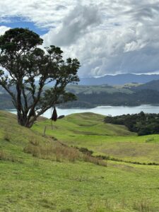 VIEWS IN THE COROMANDEL PENINSULA